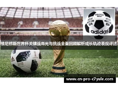 维尼修斯世界杯关键战高光与挑战全面回顾解析成长轨迹表现评述