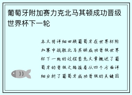 葡萄牙附加赛力克北马其顿成功晋级世界杯下一轮