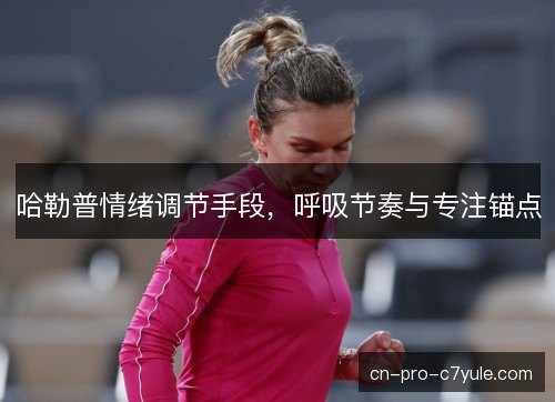 哈勒普情绪调节手段，呼吸节奏与专注锚点