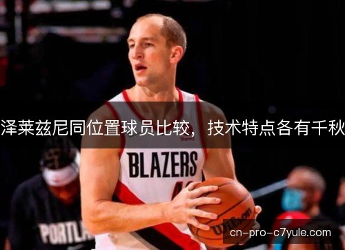 泽莱兹尼同位置球员比较,技术特点各有千秋 泽莱兹尼同位置球员比较,技术特点各有千秋